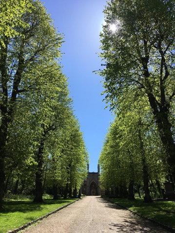 Unpaved road lined with tall green trees leading from the Linden Grove entrance to the Chapel